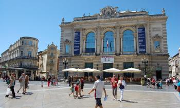 Les acheteurs plus actifs dans le Languedoc-Roussillon