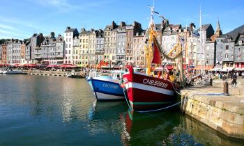 bassin-honfleur-logicimmo