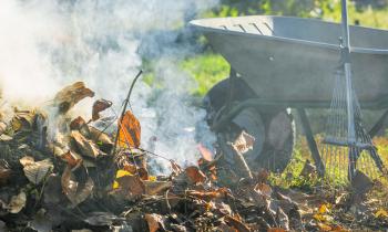 Seules les communes ne bénéficiant pas de ramassage des végétaux et qui sont éloignées des déchetteries peuvent autoriser le brûlage des déchets. © HaiGala - Shutterstock