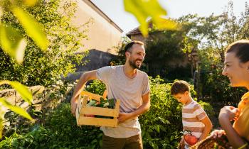 Un potager chez soi 