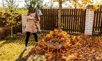 Un jardin bien entretenu est un atout pour vendre pendant l’automne © Yuliya Koneva – Getty Images