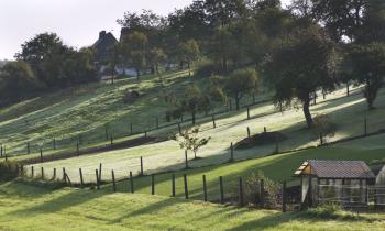 terrain en pente