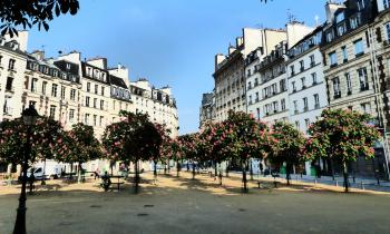 place dauphine pour la journée mondiale du baiser