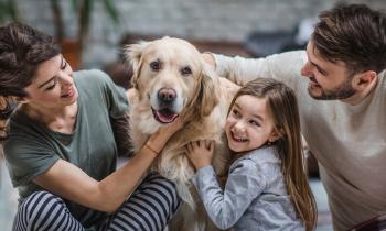 Il est recommandé de déclarer ses animaux de compagnie à son assureur afin d'être couvert en cas de dégâts. © skynesher - Getty images