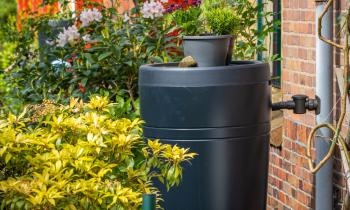 Récupérateur eau de pluie 