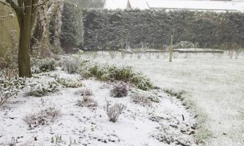 Préparation de la pelouse avant l'hiver