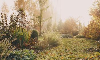 Erreurs à éviter - Jardin hiver