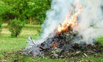 Brûler des déchets verts, est-ce autorisé ?