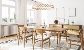 salon de style scandinave