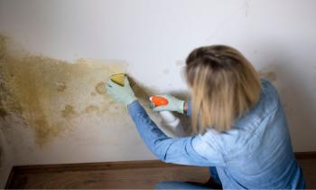 Il est nécessaire d'identifier les causes de la prolifération de moisissures sur les murs avant de les traiter. © Epiximages - Getty images
