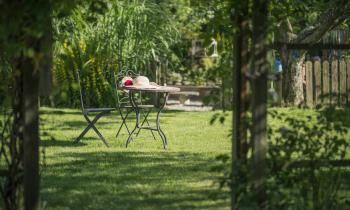 Ombre jardin
