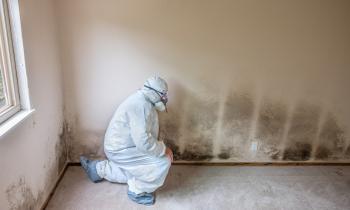 Taux d'humidité maison moisissures