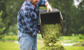 Que faire de votre herbe de tonte ?