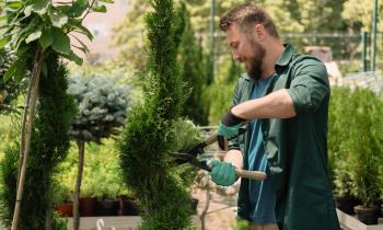 Un crédit d'impôt pour les petits travaux de jardinage
