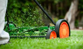 Qu'est-ce que le mulching ?