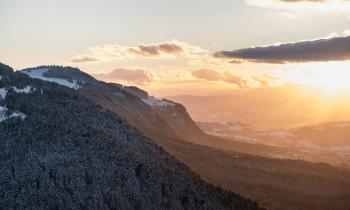 Photo de Olivier Miche sur Unsplash