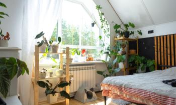 Installer des plantes dans une chambre favorise un sommeil réparateur