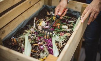 Comment stopper la pousse des plantes dans mon compost ?