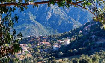 Haute-Corse
