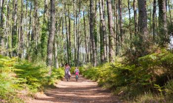 Landes