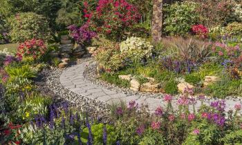 La technique pour réussir son jardin méditerranéen
