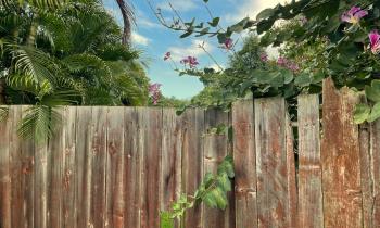 Accès au terrain bloqué par voisin