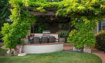 Les plantes grimpantes ont le don de transformer n’importe quel mur, clôture ou pergola en un véritable écrin de verdure. © Spiderplay - Getty images