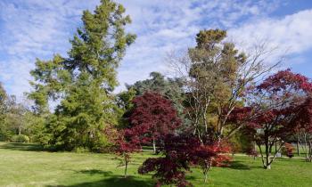 Rennes parc Gayeulles