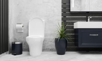 Tips pour neutraliser les mauvaises odeurs d'un WC