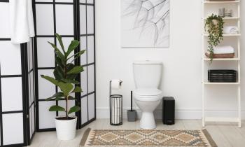 Des WC à la pointe des tendances