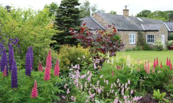 Maison de campagne sur un jardin fleuri. 