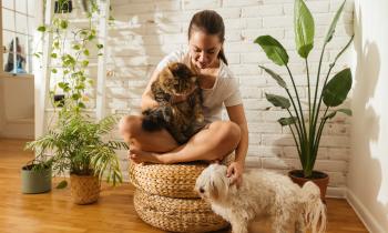 Les plantes nocives pour les chiens et chats