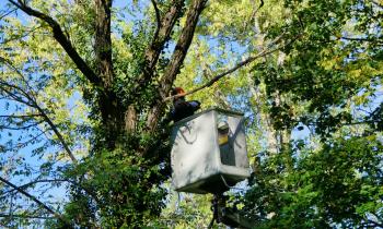 Tourcoing quartier Blanc Seau