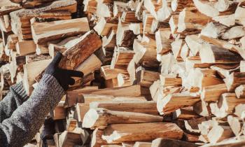 Quels sont les avantages des bûches densifiées ?