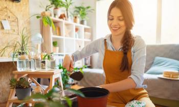 Bouturer certaines plantes en janvier est une stratégie gagnante pour obtenir un jardin et un intérieur végétalisé luxuriant dès l'arrivée du printemps. © SrdjanPav - Getty images