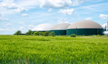 Le gaz vert est un gaz produit à partir de déchets organiques, et qui est donc d'origine renouvelable. © Animaflora - Getty images