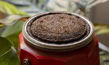 Les 10 façons de réutiliser le marc de café