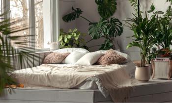 7 plantes à mettre dans votre chambre pour mieux dormir.