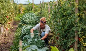 Top 5 des livres sur le jardinage