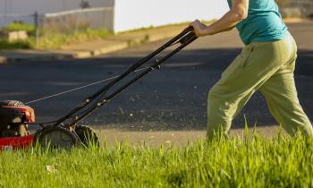 À quel moment tondre la pelouse pour la première fois après l'hiver ?
