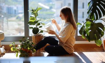 7 plantes d'intérieur méconnues que vous ne verrez pas chez vos voisins.