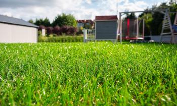 Vue sur une pelouse avec une herbe haute à l'arrière d'une maison individuelle