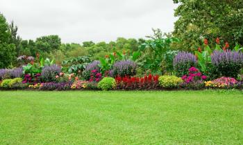 Tout savoir sur la location de jardins entre particuliers et professionnels
