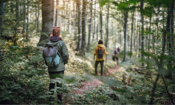 Ces 7 forêts sont idéales pour une balade en Île-de-France. © Getty Images