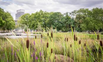 Les prix immobiliers et tendances à Cergy