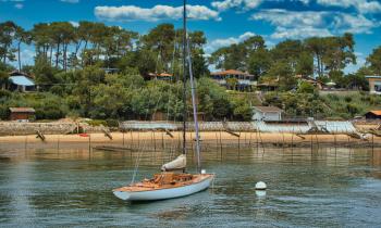 Cap Ferret