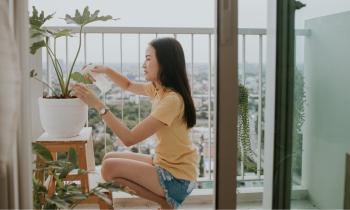Balcon orienté nord : 7 plantes décoratives qui n'ont pas besoin de soleil.