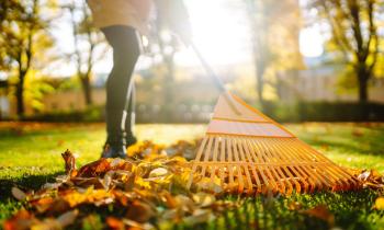 7 astuces simples pour préparer son jardin à l’automne.