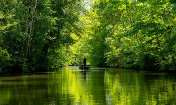 5 destinations au vert pour la Toussaint