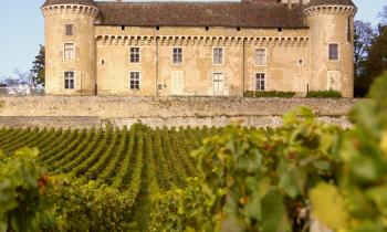 Les 5 plus beaux domaines viticoles en France